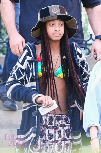 willow-smith-faux locs