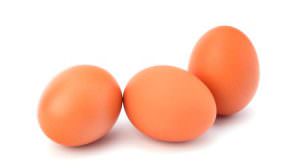 eggs