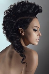 Mohawk-2