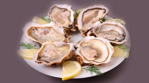 oysters