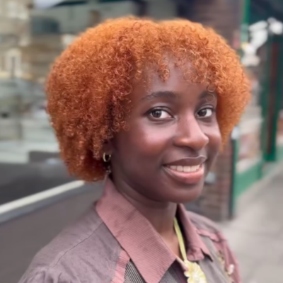 Hair Colour Afrotherapy Afro Hair Salon in North London (2)