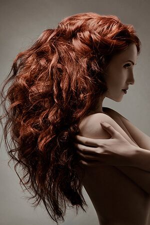 Hairstyles For Hair type, Afrotherapy Hair Salon, Edmonton, London